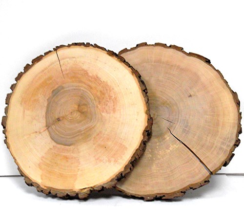 Baumscheibe Erle rund 31-35 cm - 2. Wahl Rindenscheibe natur geschliffen